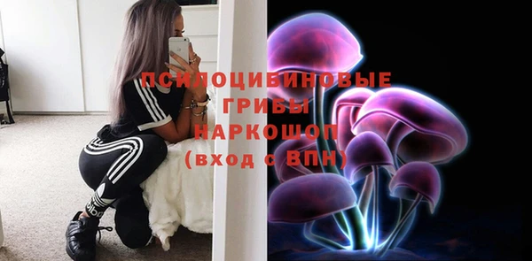 дурь Ладушкин