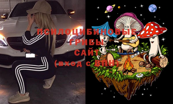 дурь Ладушкин