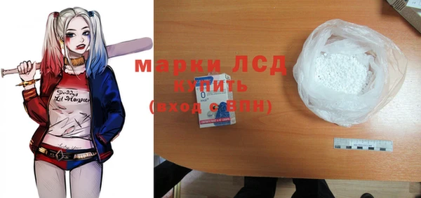 индика Кинешма
