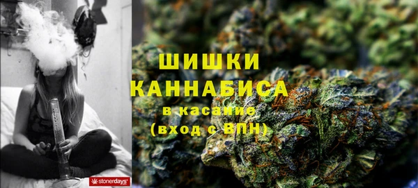 дурь Ладушкин