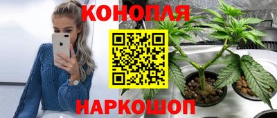 шишки Краснокаменск