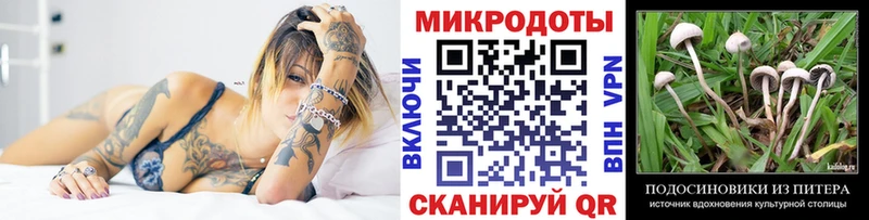 Псилоцибиновые грибы Magic Shrooms  Клин 