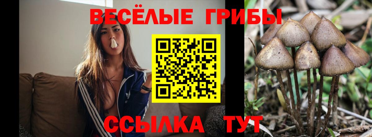 Клин  Псилоцибиновые грибы ЛСД  Вход с VPN 