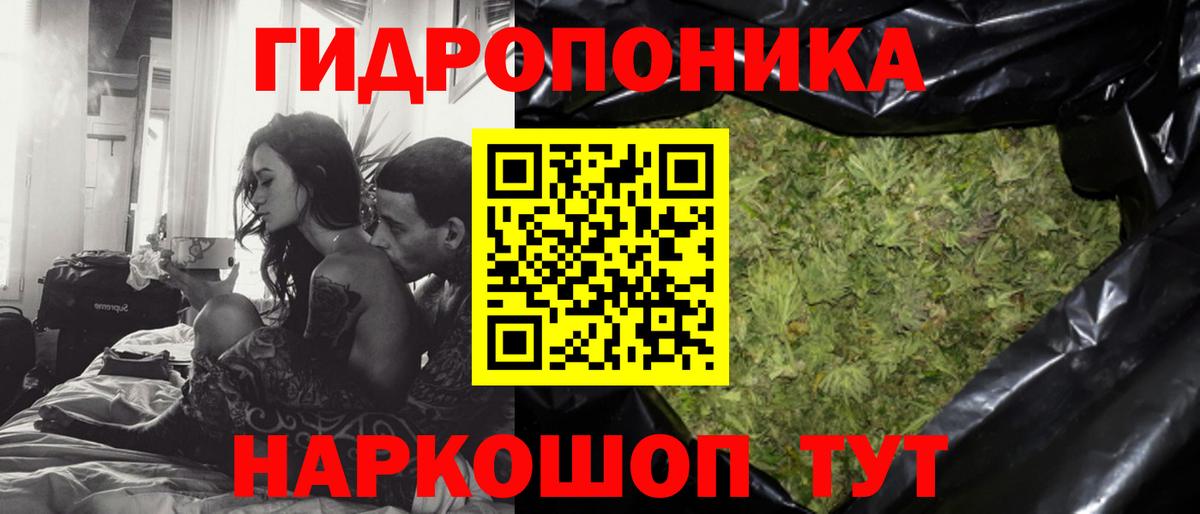 Конопля Amnesia  Вход с VPN  Каннабис White Widow  Клин  Бошки марихуана семена 